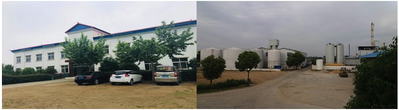 Tanghe Jinhai Biological Technology Co., Ltd